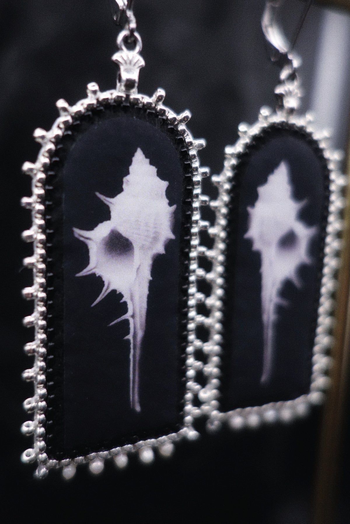 Boucles coquillages