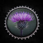 Broche chardon
