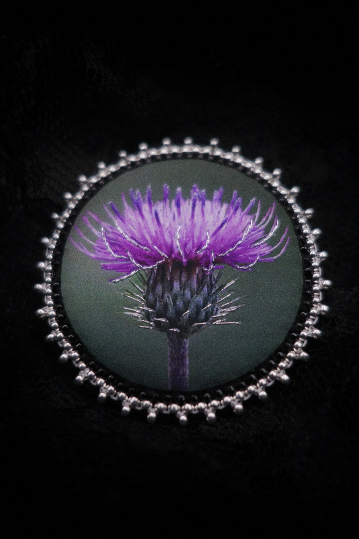 Broche chardon