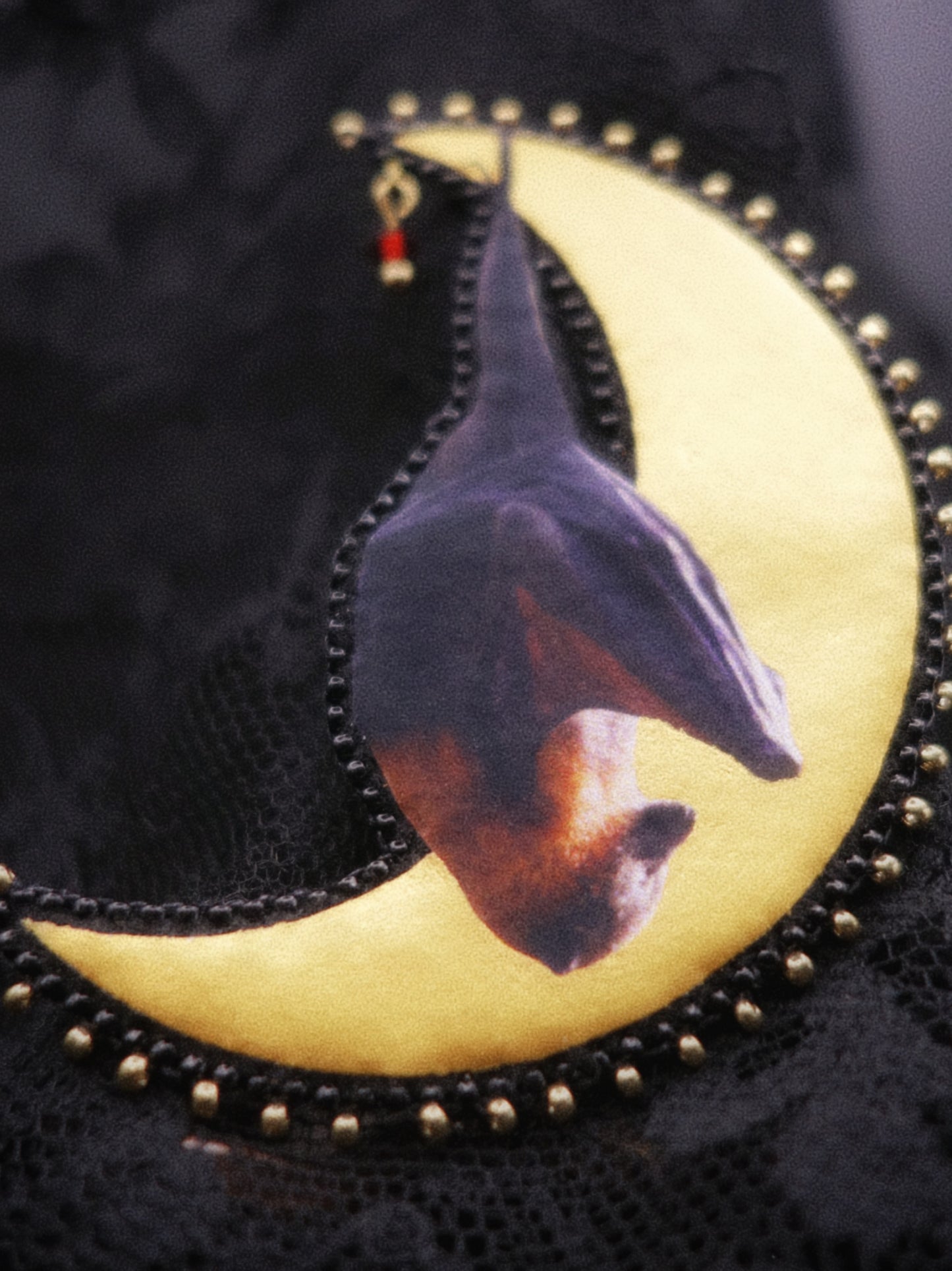 Broche chauve-souris et lune