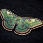 Broche papillon