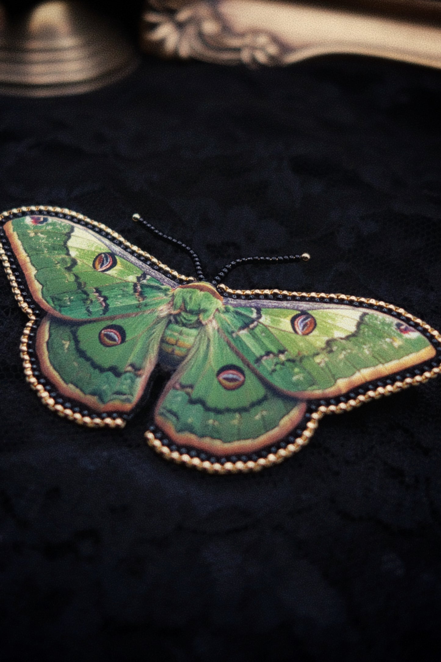 Broche papillon