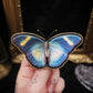 Broche papillon