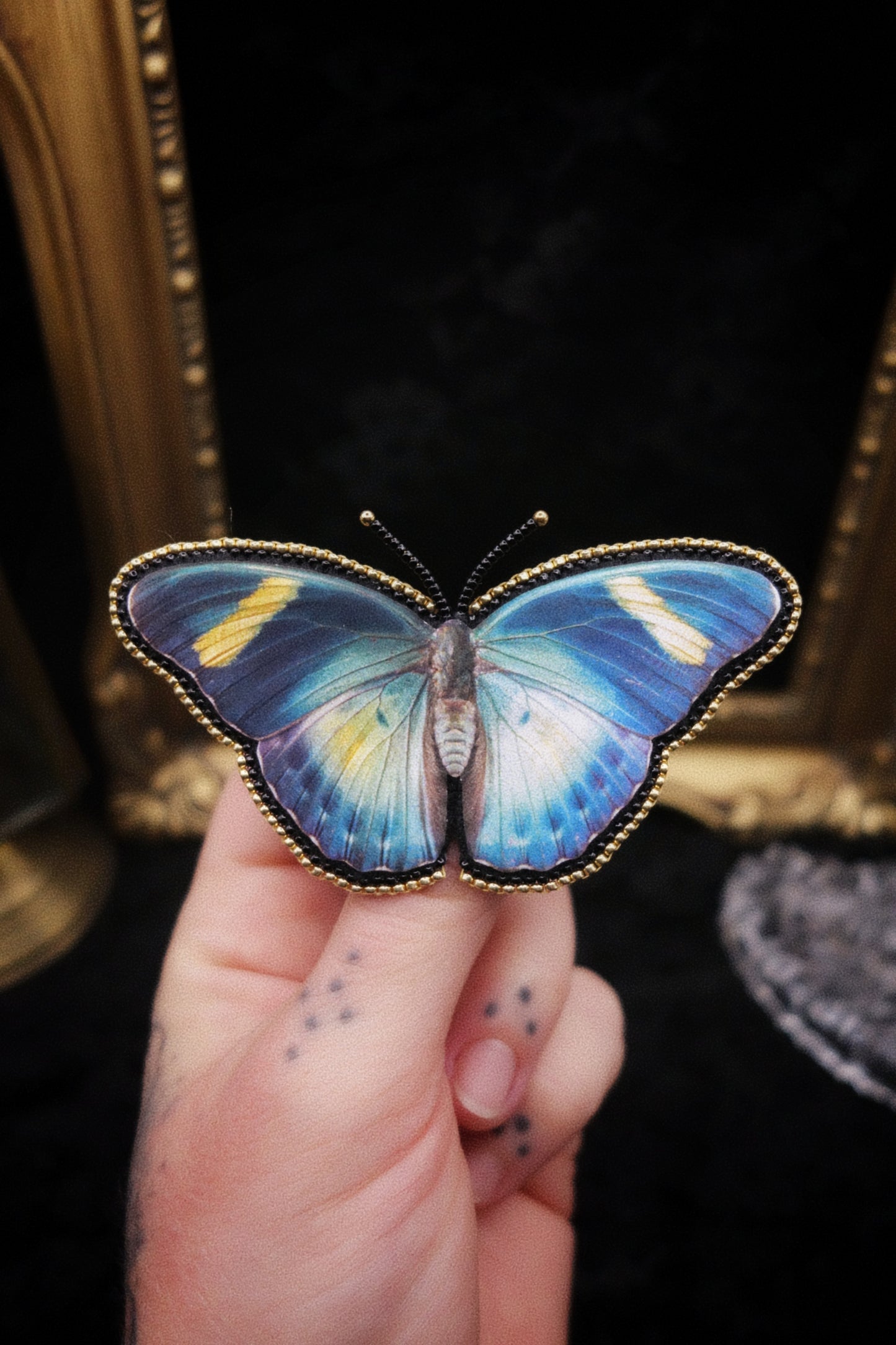 Broche papillon