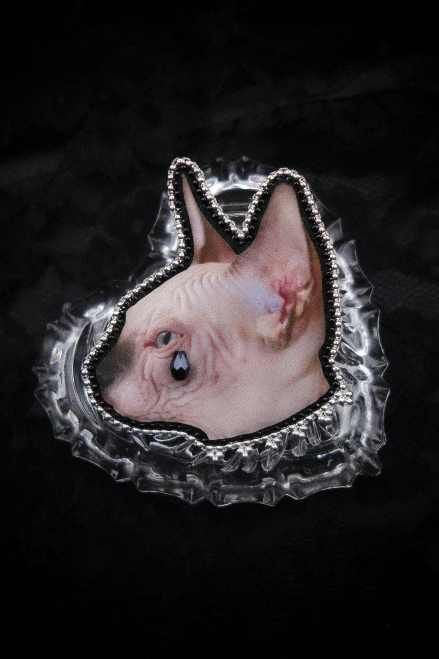 Broche chat