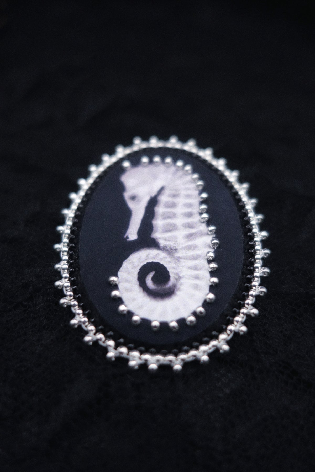 Broche hippocampe