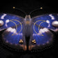 Broche papillon