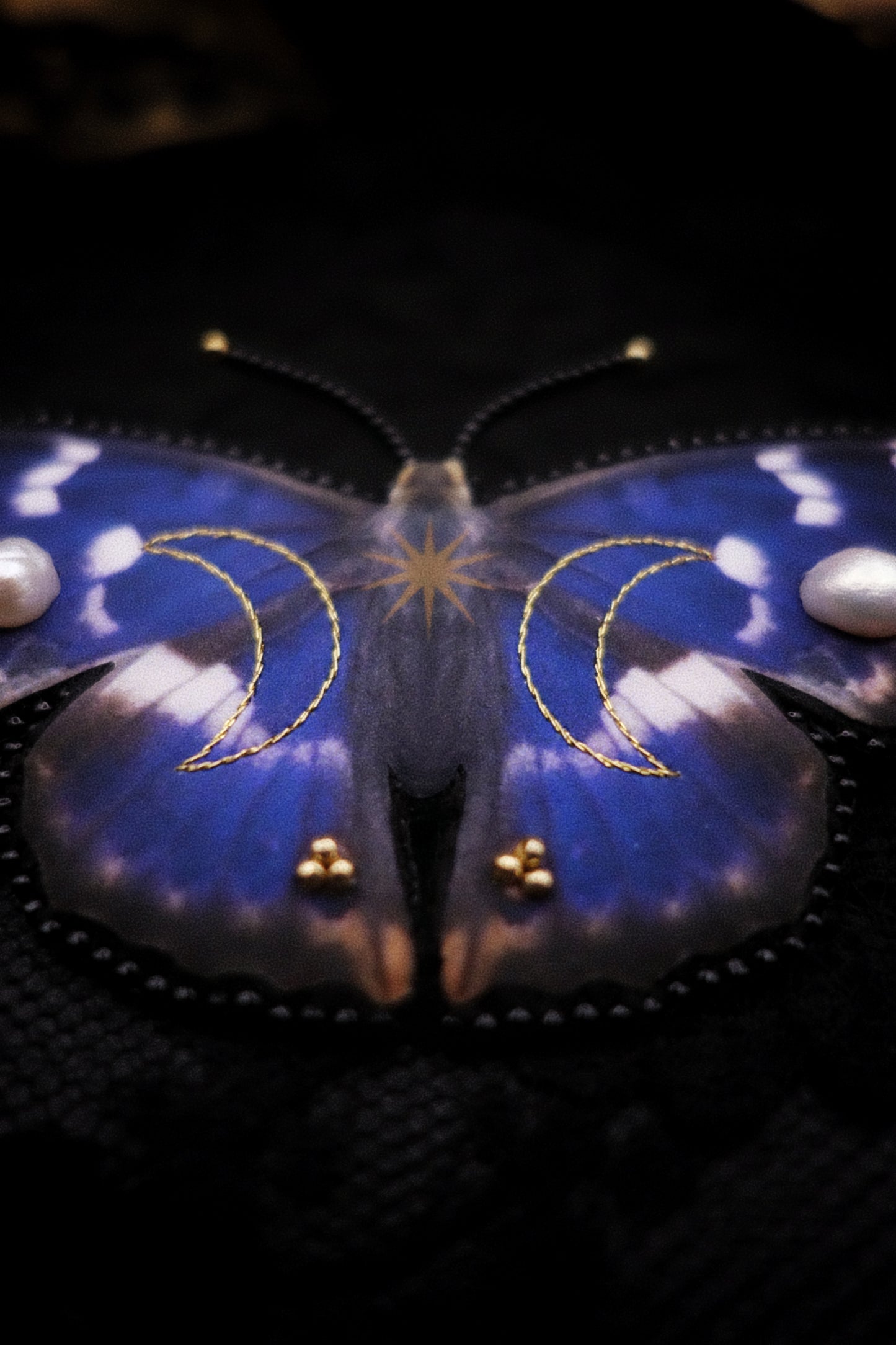 Broche papillon