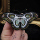 Broche papillon