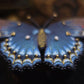 Broche papillon