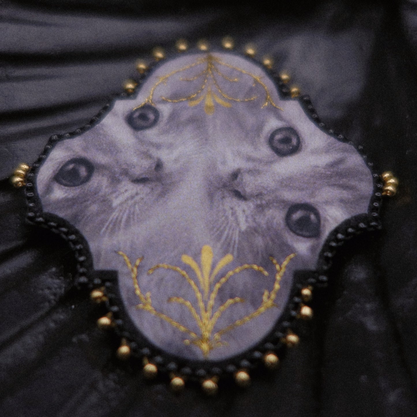Broche chats