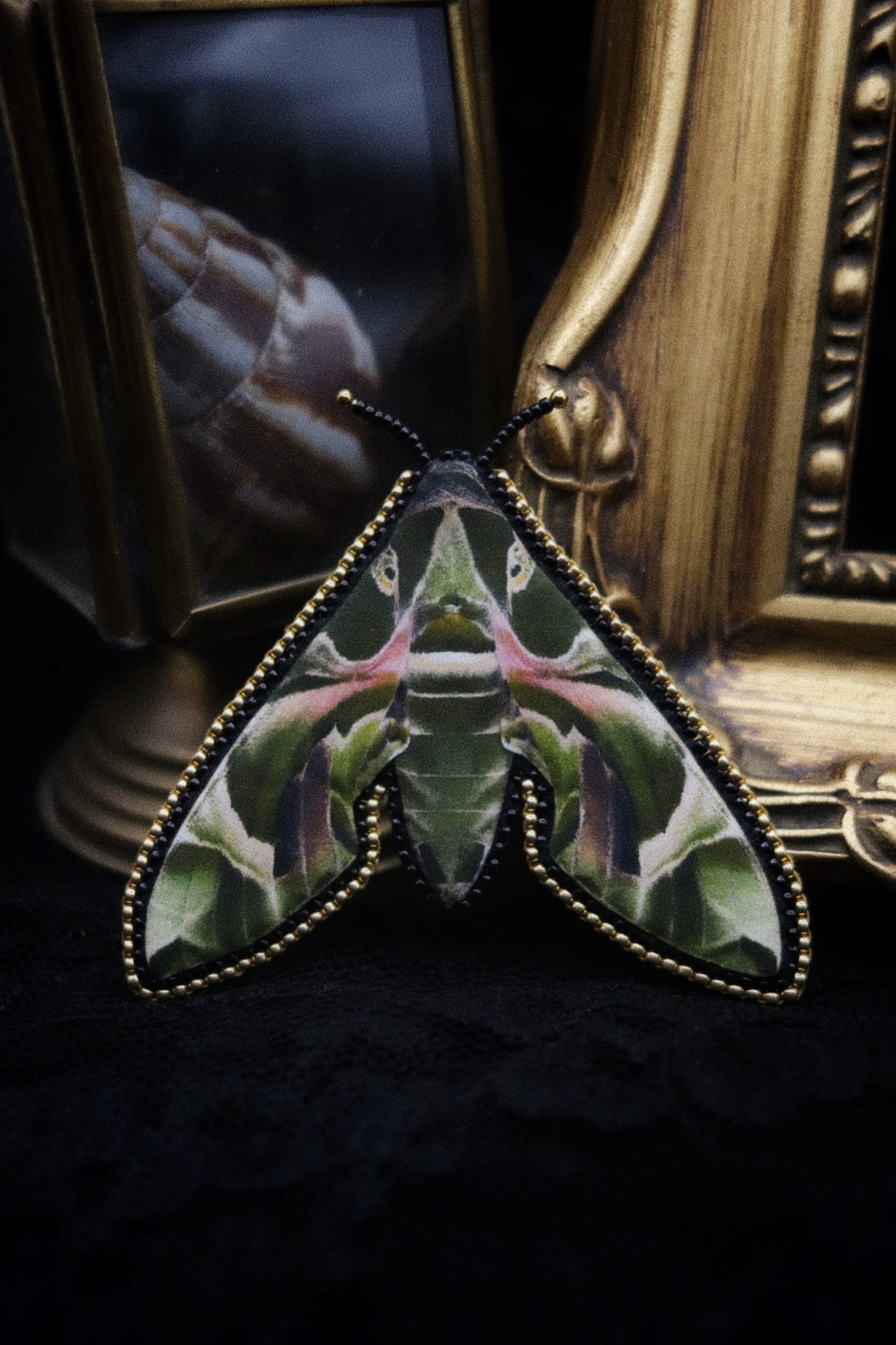Broche papillon