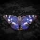 Broche papillon