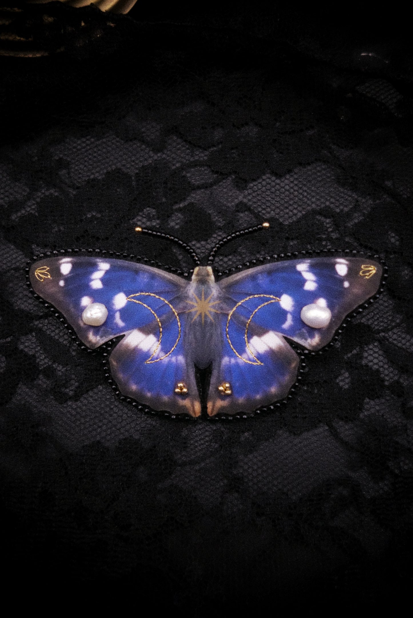 Broche papillon
