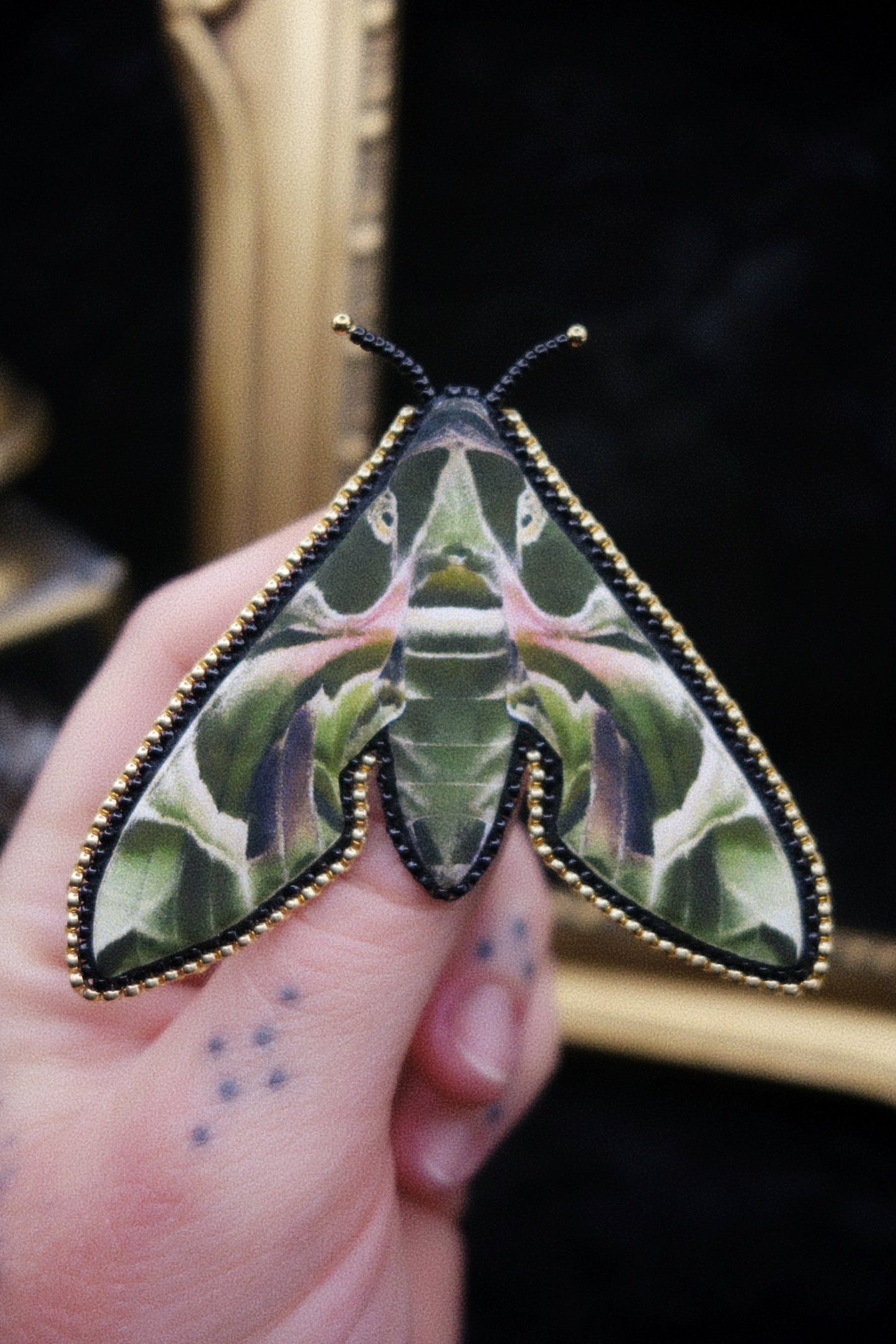 Broche papillon