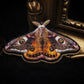Broche papillon