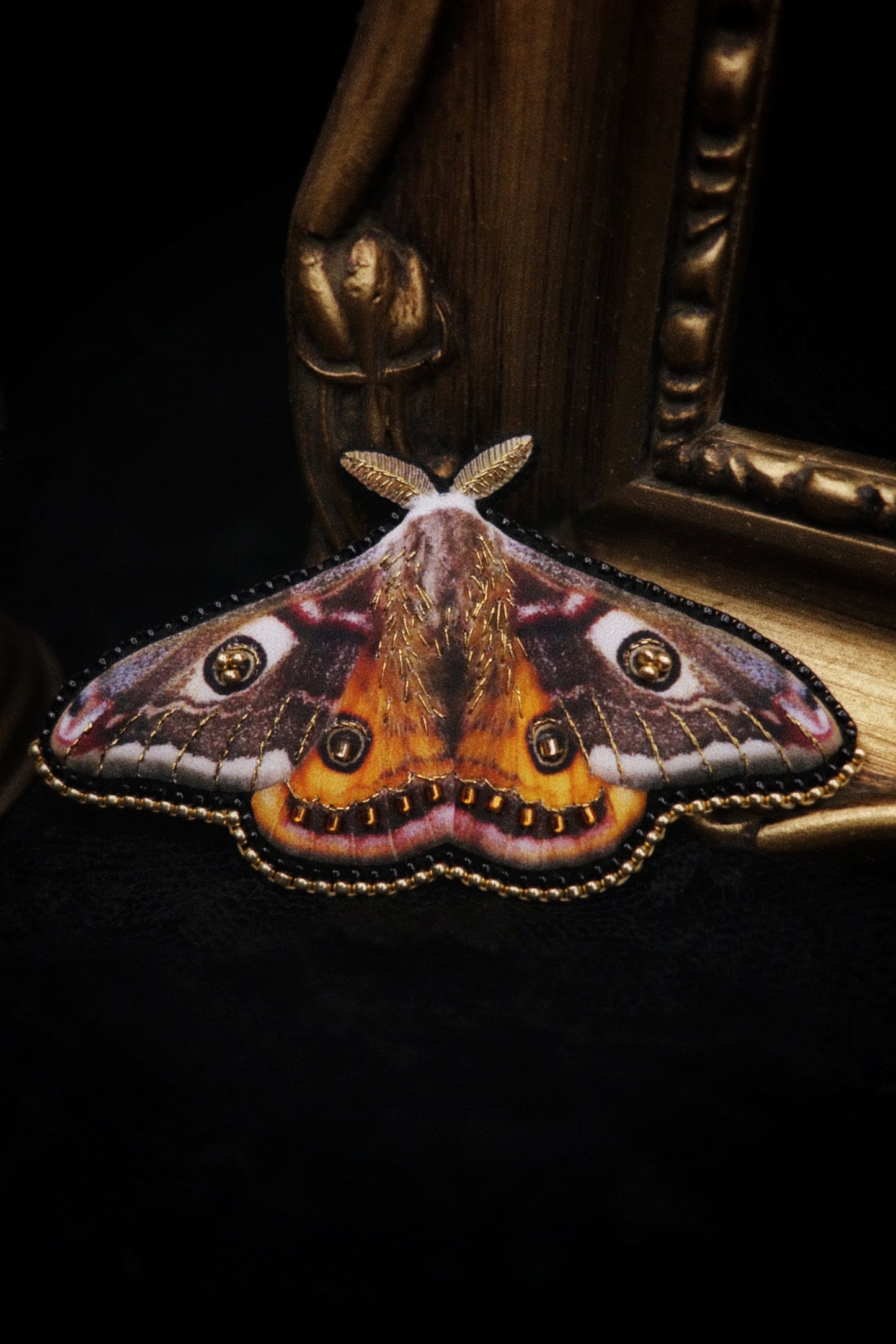 Broche papillon