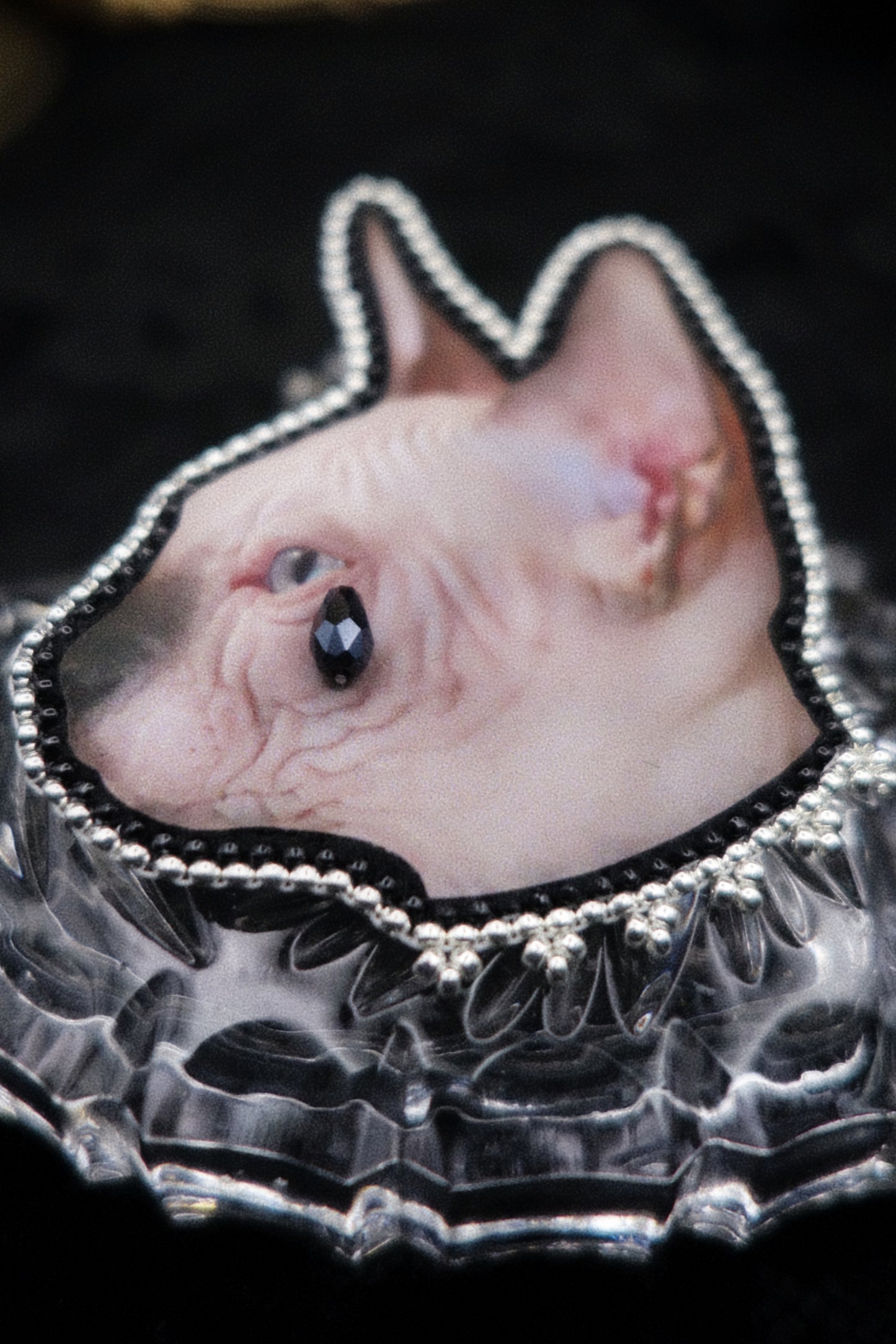 Broche chat