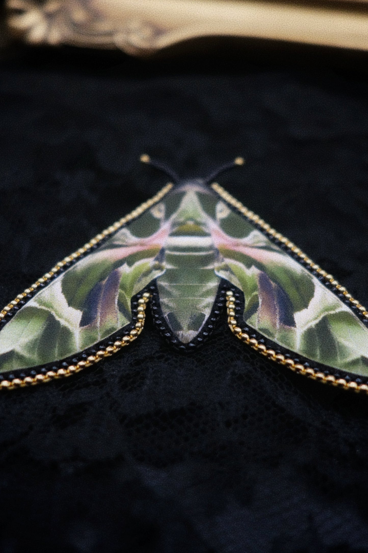 Broche papillon