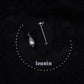 Broche corbeau sur la lune