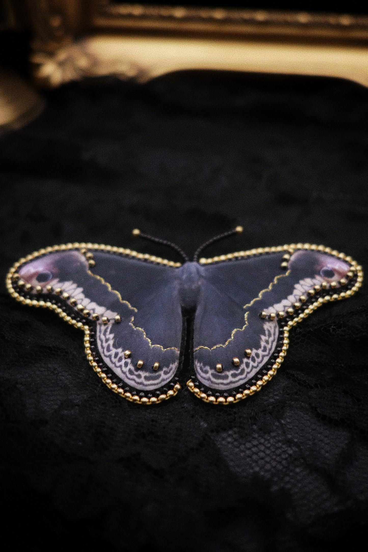 Broche papillon