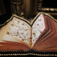 Broche livre