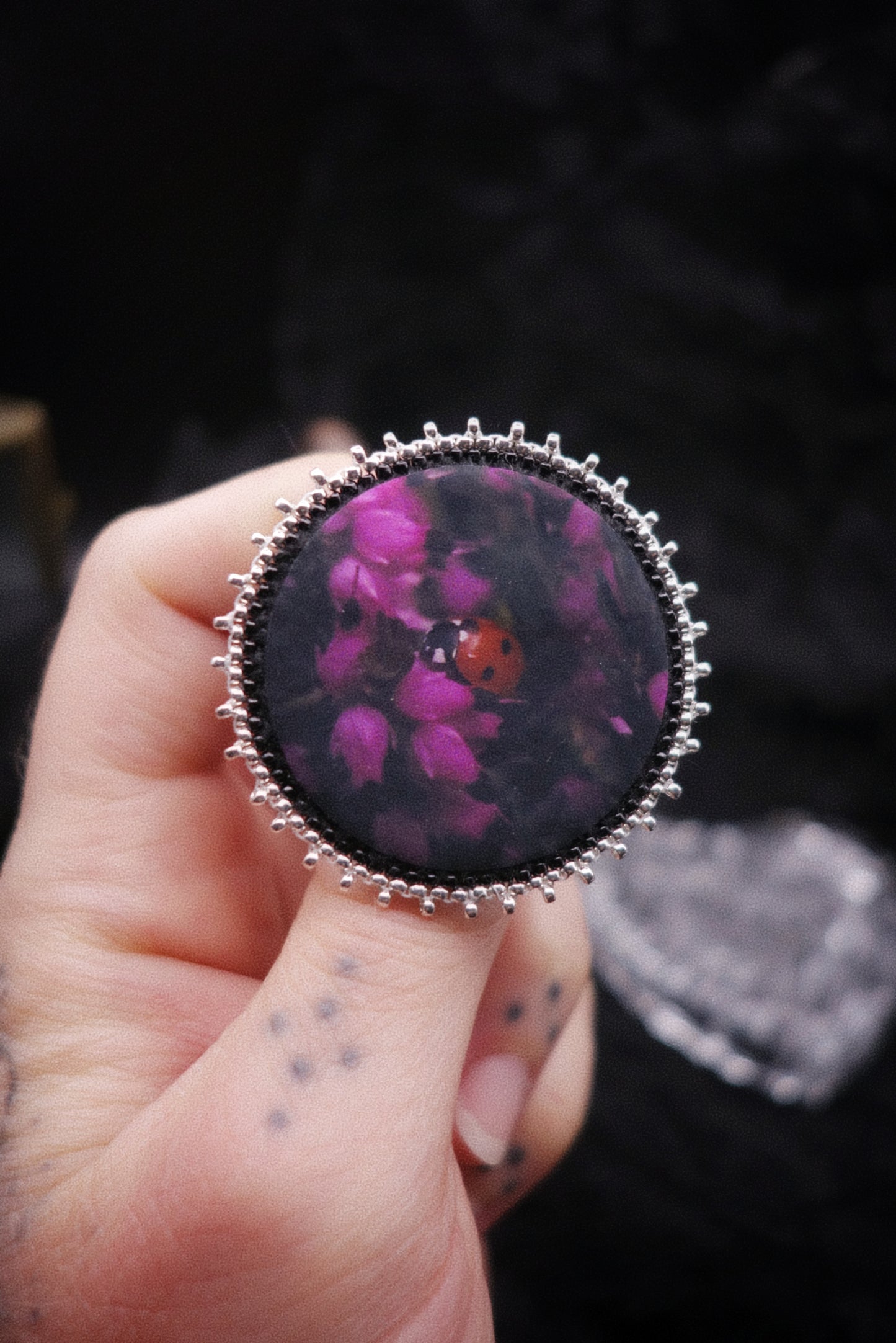 Broche coccinelle