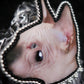Broche chat