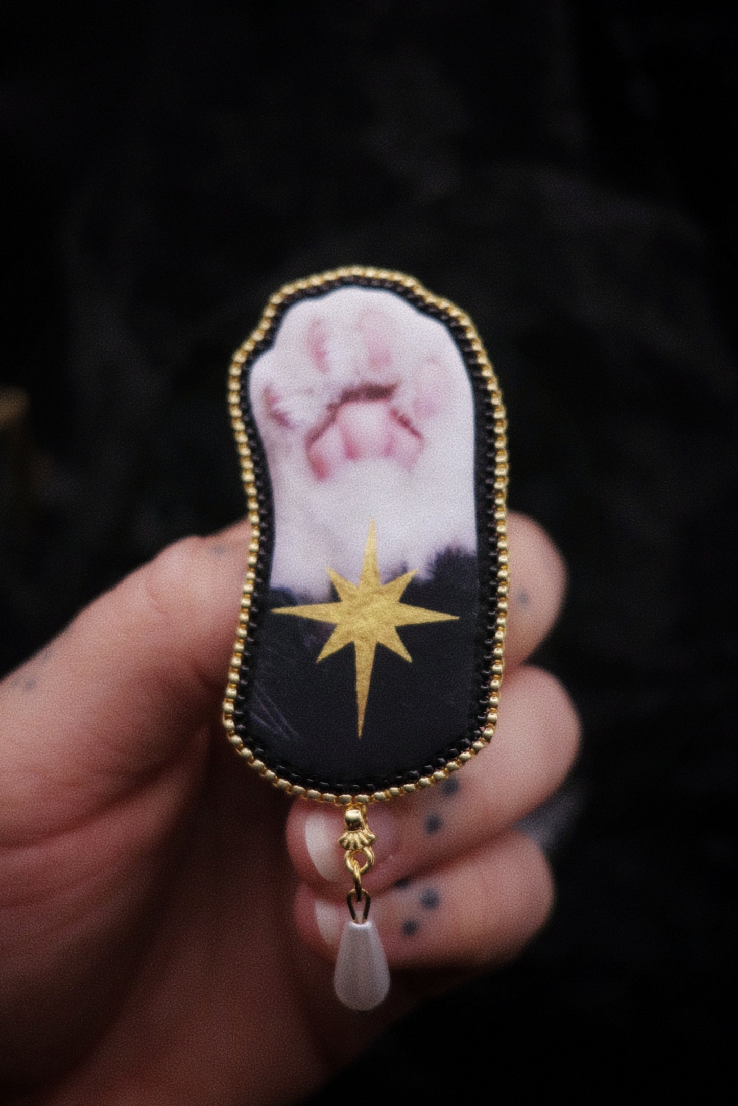 Broche patte de chat