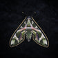 Broche papillon