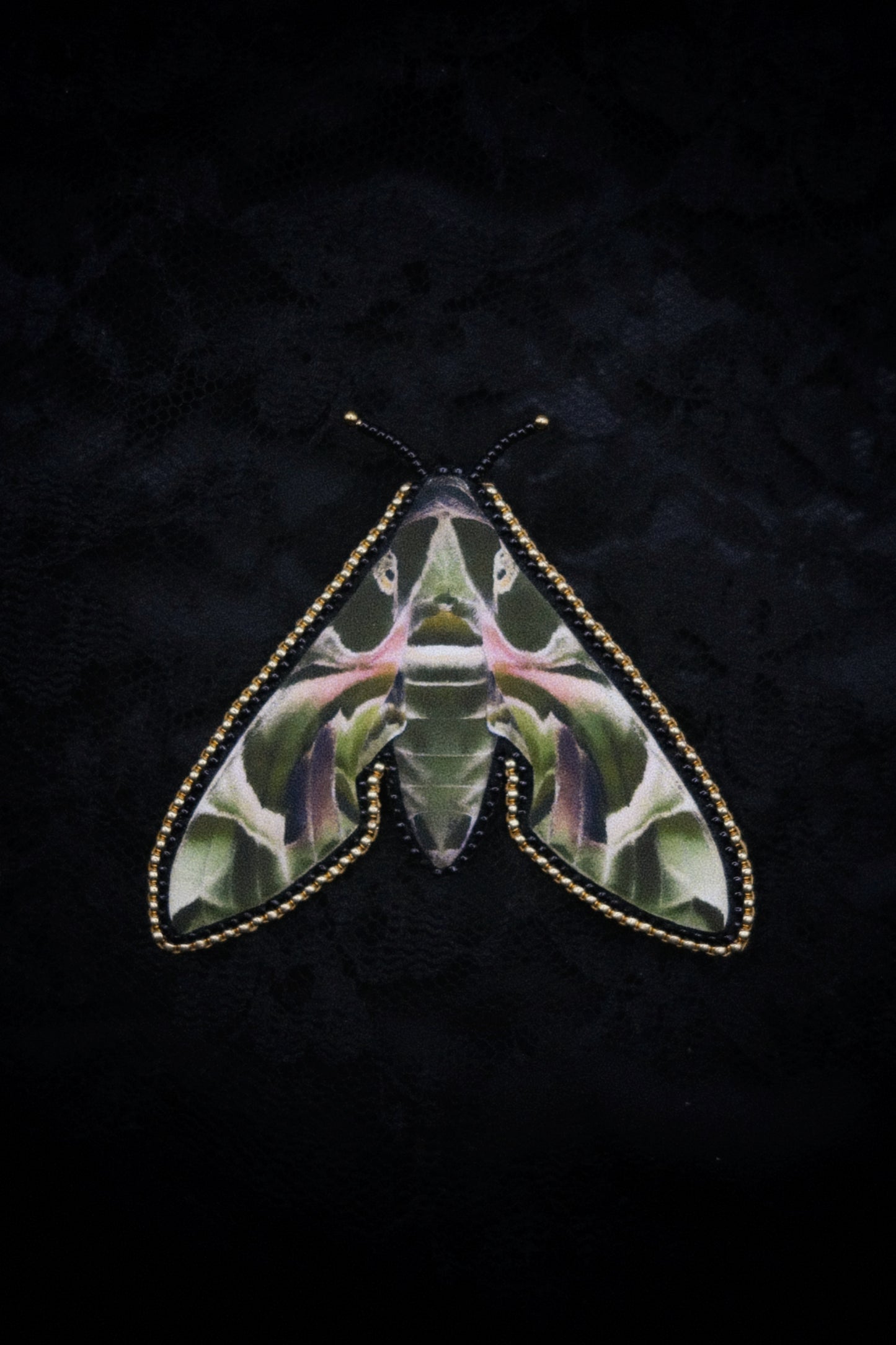 Broche papillon