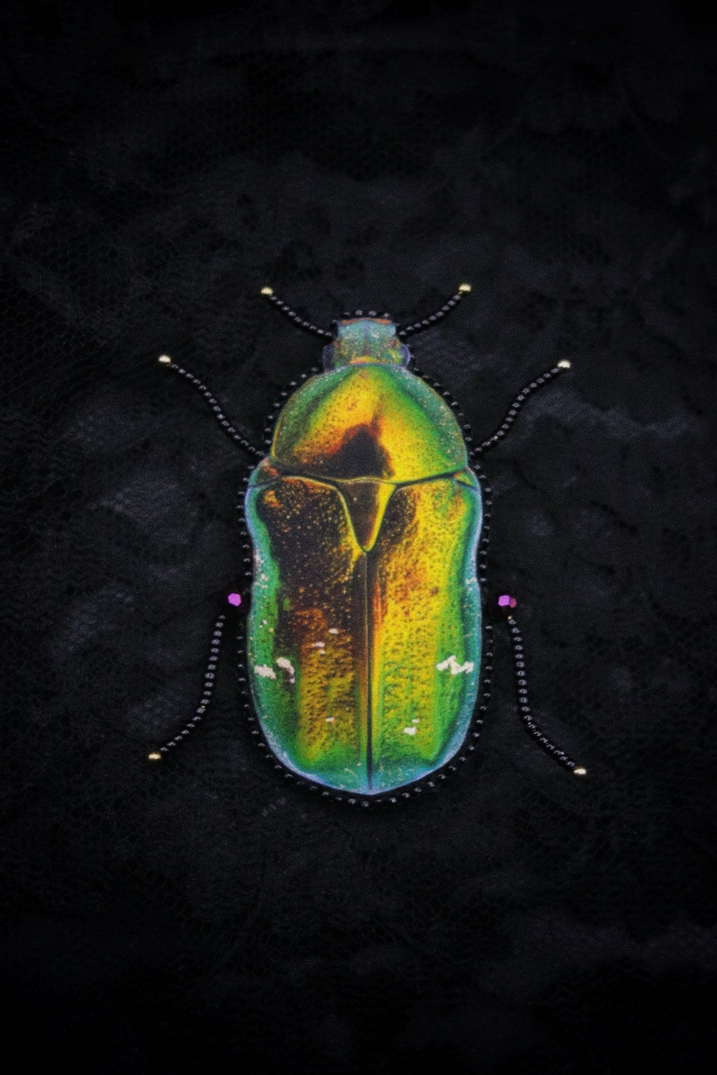 Broche scarabée