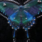 Broche papillon