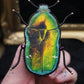 Broche scarabée