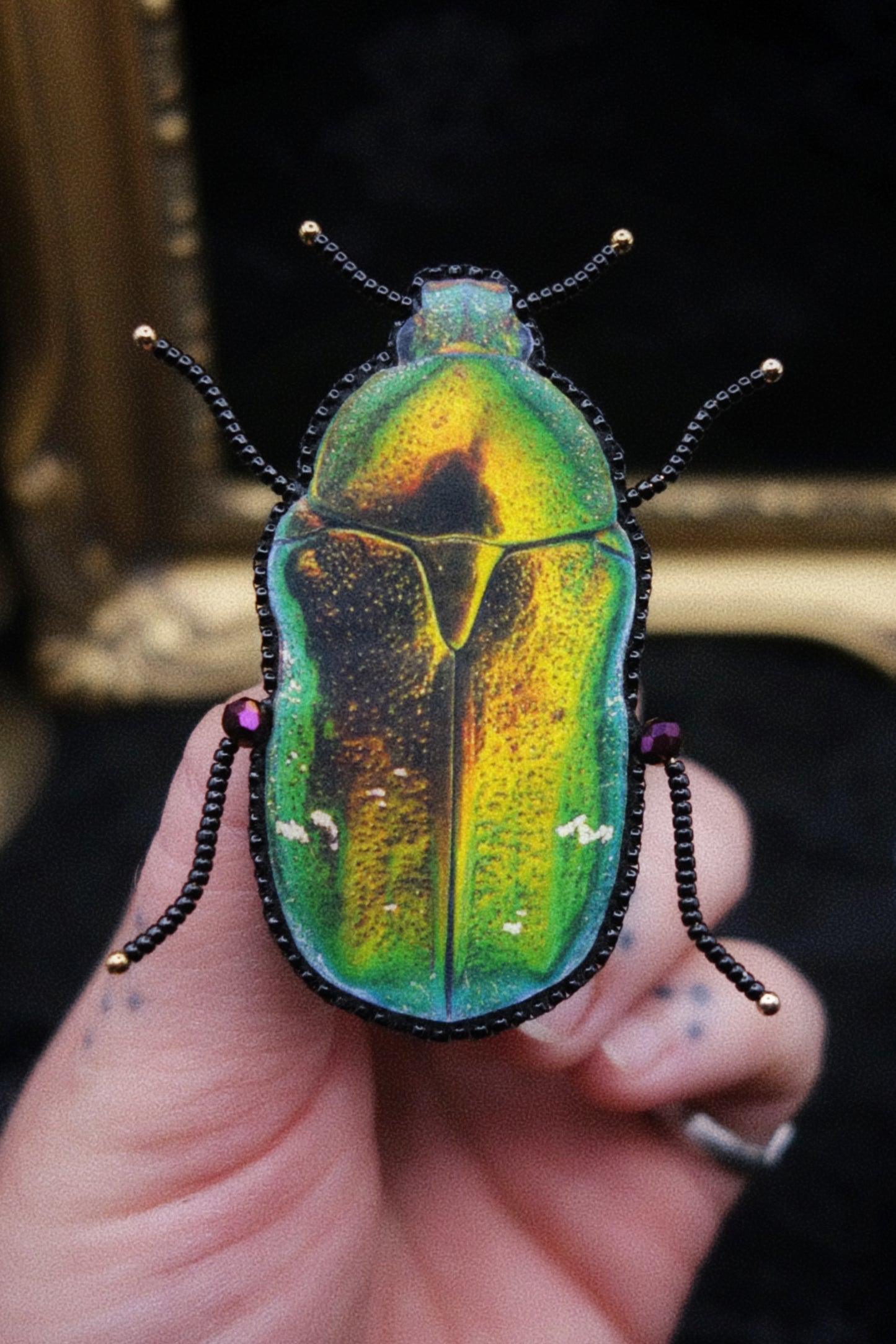 Broche scarabée